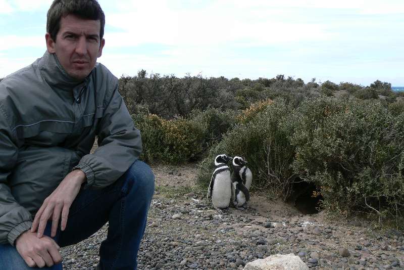 22 Pinguini a Punta Tombo